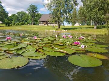 Фото номера Дом для отпуска Дома для отпуска Brīvdienu māja "Leimaņi" г. Vaidava 73
