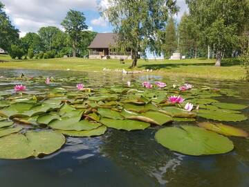 Фотографии Дома для отпуска Brīvdienu māja "Leimaņi" г. Vaidava (Латвия) №3 Фото Дома для отпуска Brīvdienu māja "Leimaņi" г. Vaidava 3